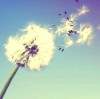 http://q.qlogo.cn/qqapp/101260148/C12F2B455BF8F6C9999908D3851C24D8/100