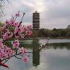 http://q.qlogo.cn/qqapp/101260148/E4B91EC1D6C0BAC1E502E17290F61B26/100