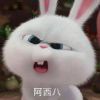 http://q.qlogo.cn/qqapp/101260148/E9A3C9298EE93D7692BFF5200A293F31/100
