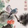 紫轩~萍~