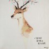 zjie216