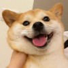 陈必佳