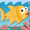 RH7魚兒廈門