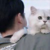 阿京190...