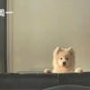 我周全nl...