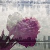 地球OnLine