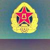 寂虎啸天