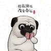小徐