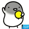 小小笑