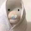钟绿