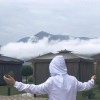 成成