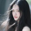 小海豚_30131261