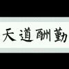 小海豚_30036700