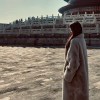 小海豚_44723406