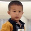 小海豚_31672669
