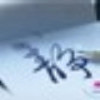 小海豚_31437370