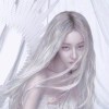 小海豚_43280315