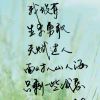 逆风去飞翔