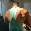 小海豚_23184913