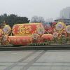 小海豚_42943505