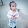 小海豚_37370493