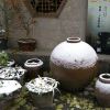 覇氣灬竾湜①種啍辤、
