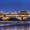 小海豚_32543431