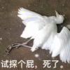 大时代1