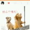 習慣～愛～