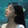 小海豚_35368703