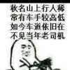 小海豚_34738597