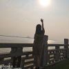 小海豚_31555820
