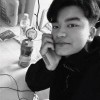 小海豚_27562278