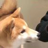 执着爱