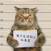 小海豚_42580177