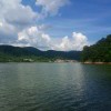 小海豚_33181697