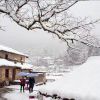 九天飛雪