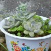 春暖花開※