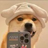 我叫胖嘟嘟。