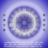 土家狼人