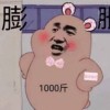 1049826493QQ头像