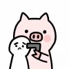 🐷(1073515944)QQ头像