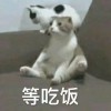 三宝(1400183957)QQ头像