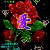 雨中玫瑰(1460065138)QQ头像