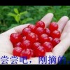 QQ1461933643(1461933643)QQ头像