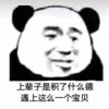 QQ1493880739(1493880739)QQ头像