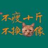 可爱如猪(1541492833)QQ头像