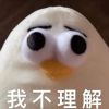 QQ1776585979(1776585979)QQ头像