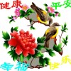 QQ1931056357(1931056357)QQ头像