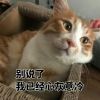 QQ1970209613(1970209613)QQ头像